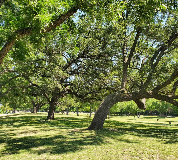 Cameron Park (Waco,&nbspTX)